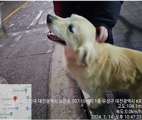대전동물보호센터_430367202400021