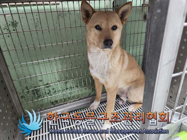 한국동물구조관리협회_411304202400003