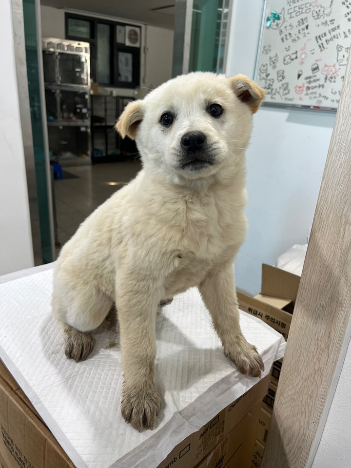 반려동물보호센터_443571202400050