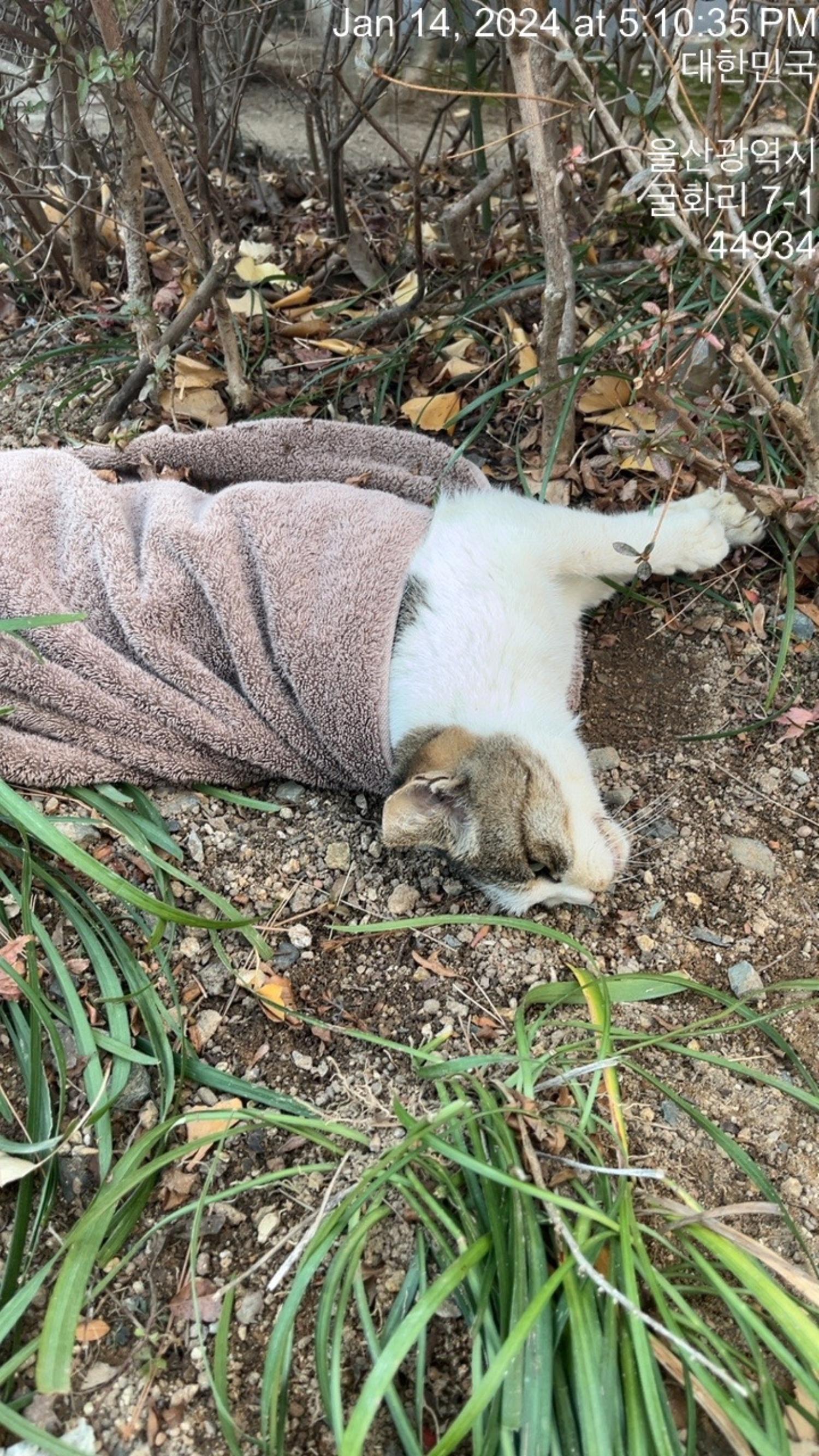 울산유기동물보호센터_431373202400025
