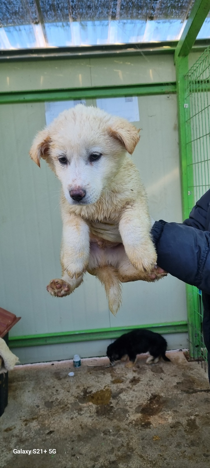 전북말산업복합센터_445471202400047