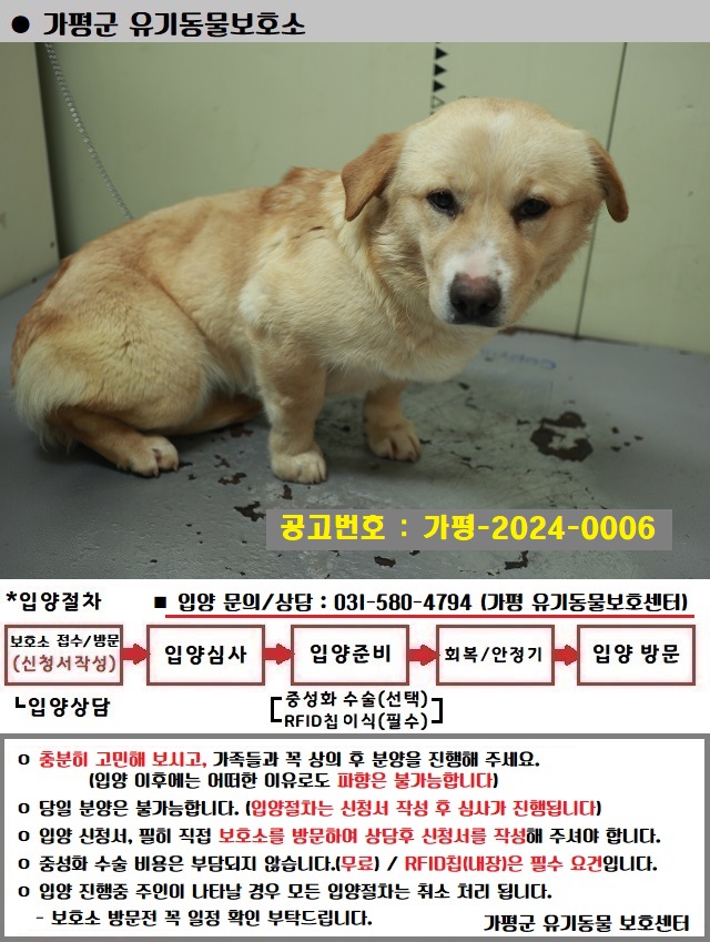 가평군유기동물보호소_441416202400006