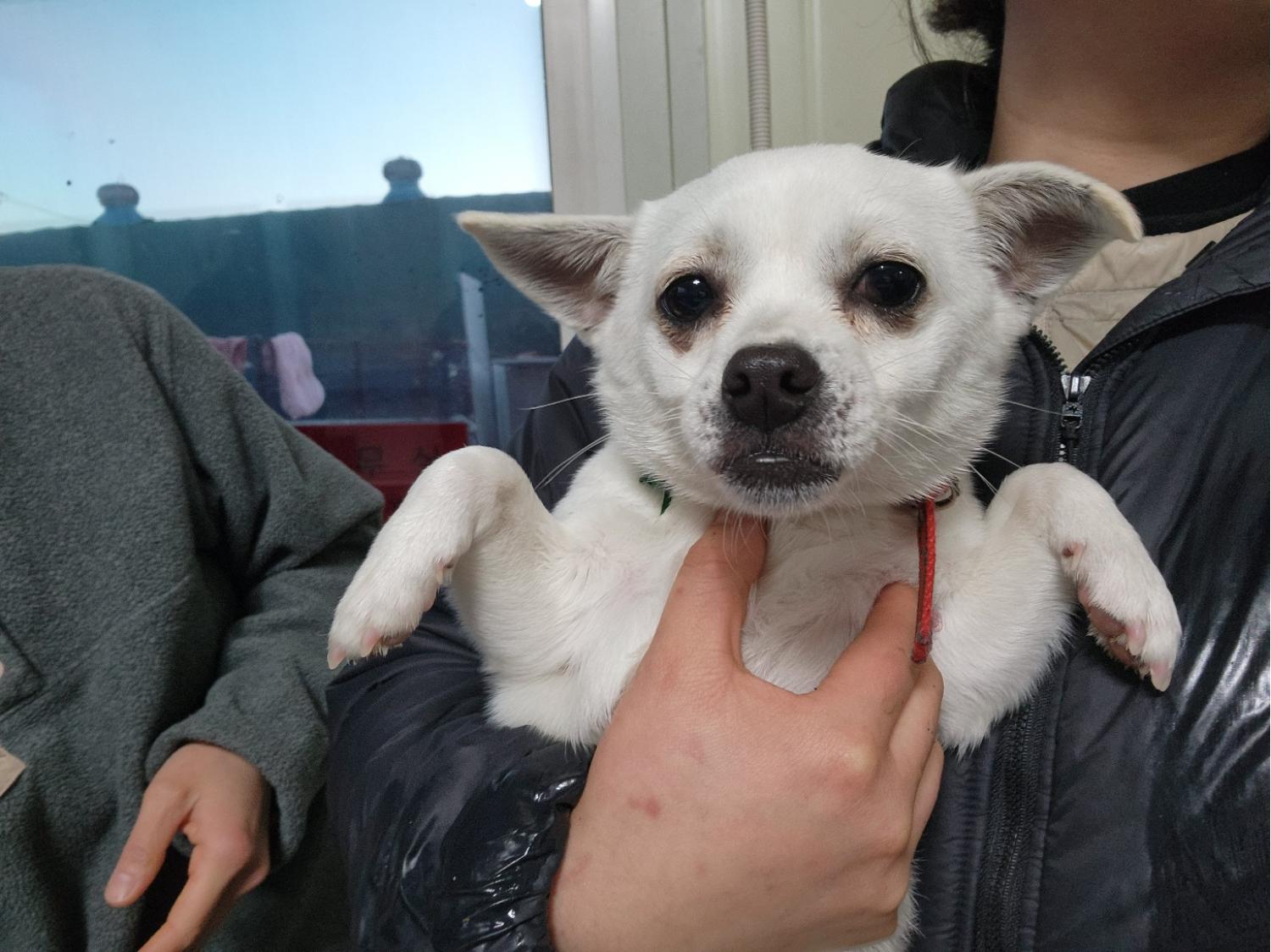 한국야생동물보호협회_441393202400049