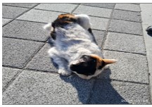 종료(자연사) 한국…
