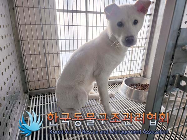 한국동물구조관리협회_411305202400002