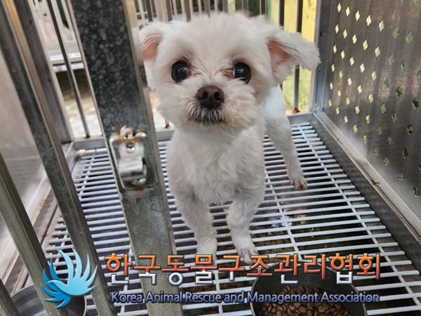 한국동물구조관리협회_411303202400004