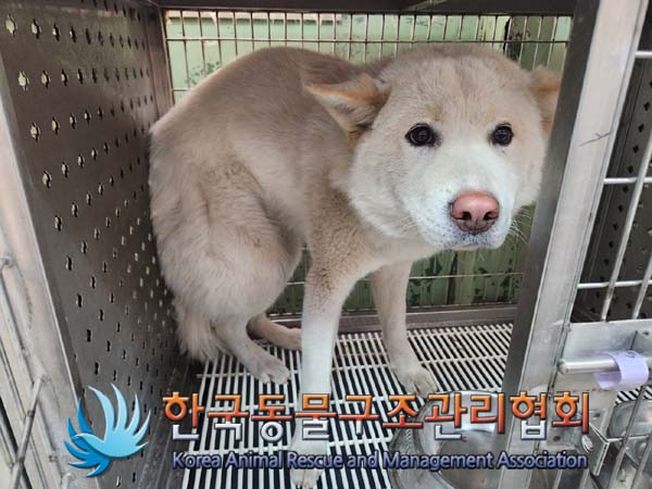 한국동물구조관리협회_441409202400034