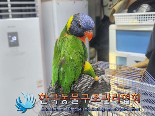한국동물구조관리협회_441409202400035