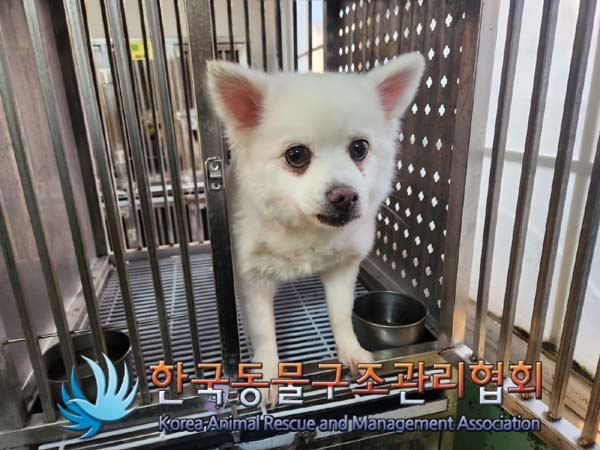 한국동물구조관리협회_411307202400005
