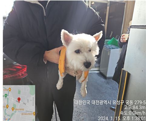 대전동물보호센터_430367202400023