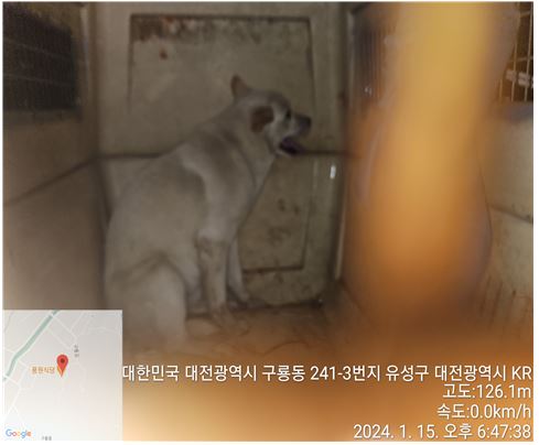 대전동물보호센터_430367202400026