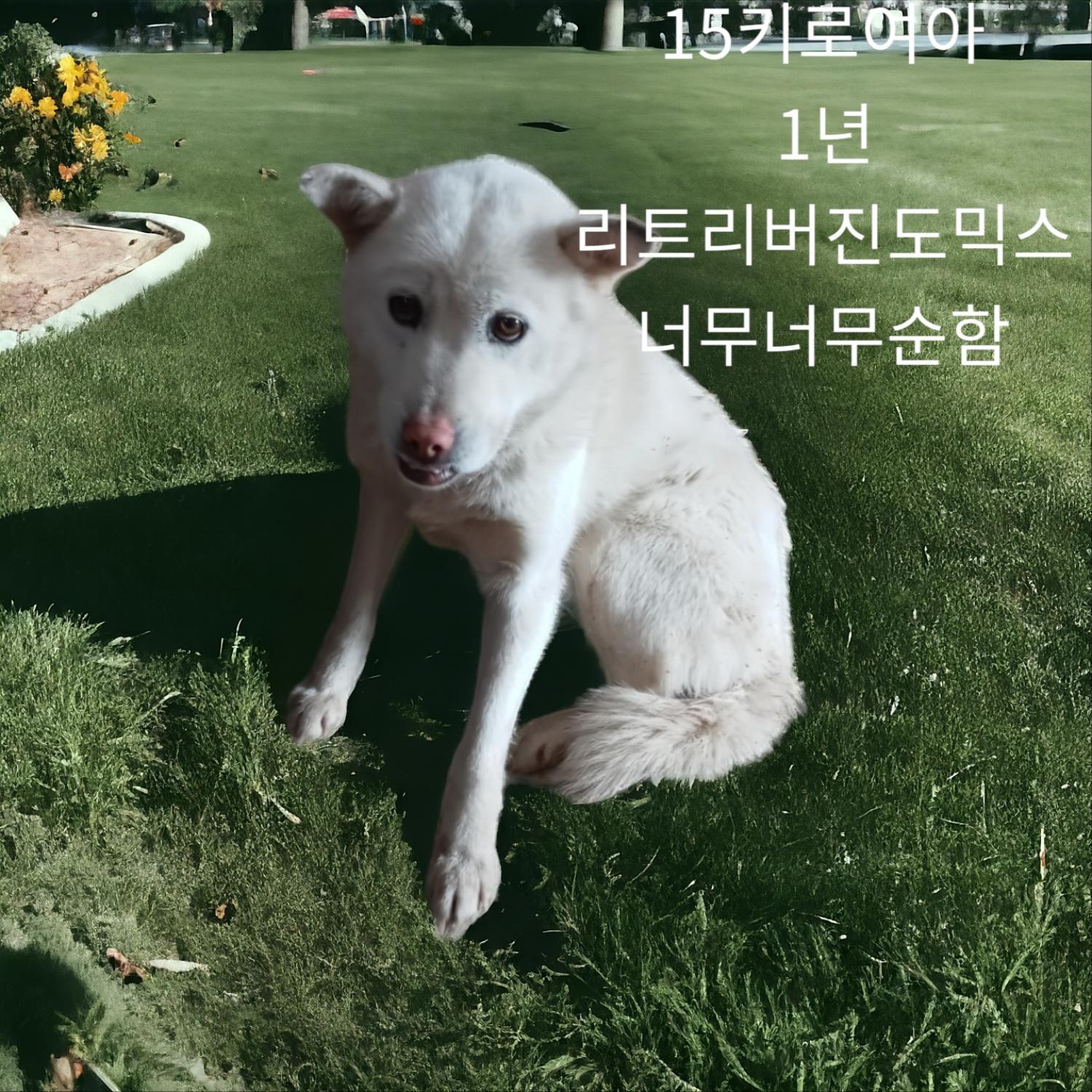 성주유기동물보호센터_447521202400022