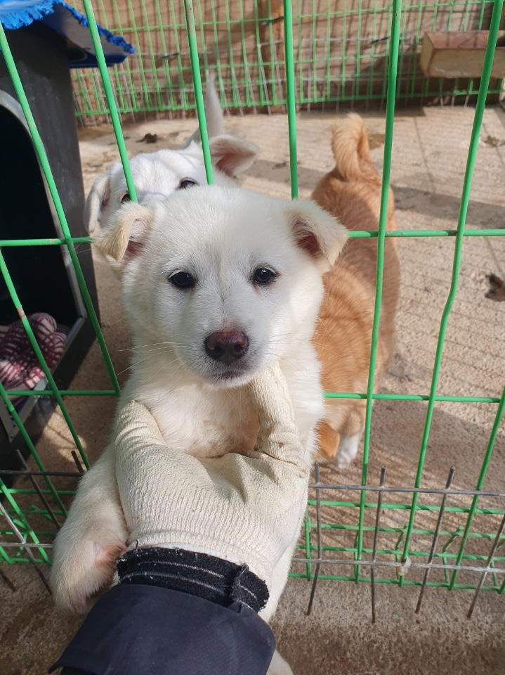 전북말산업복합센터_445471202400052