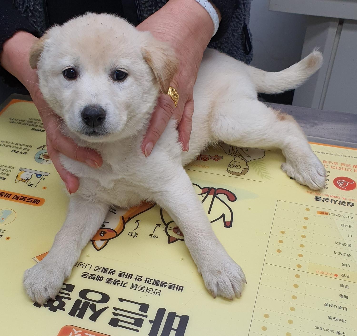 베스트동물병원_428357202301874
