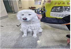 유기동물및관리협회_448535202400054