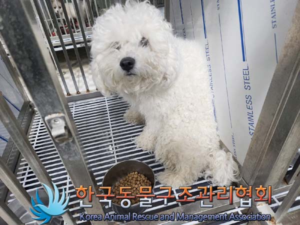 한국동물구조관리협회_411315202400012