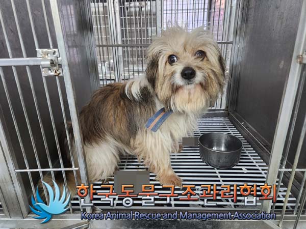 한국동물구조관리협회_441560202400030
