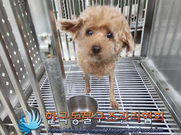한국동물구조관리협회_411316202400003