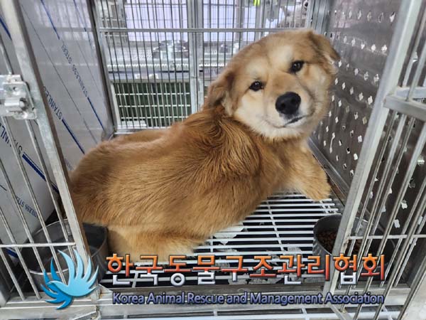 한국동물구조관리협회_441560202400027