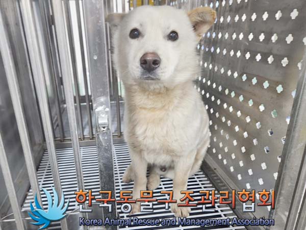 한국동물구조관리협회_441406202400068