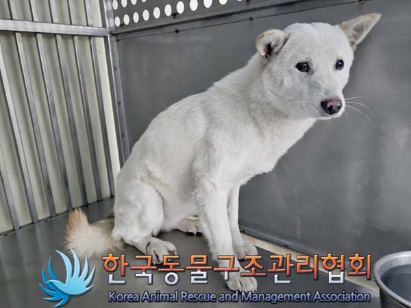 한국동물구조관리협회_441414202400028
