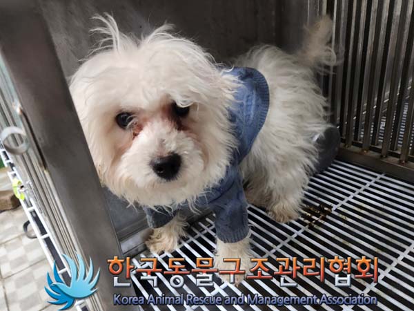 한국동물구조관리협회_441406202400075