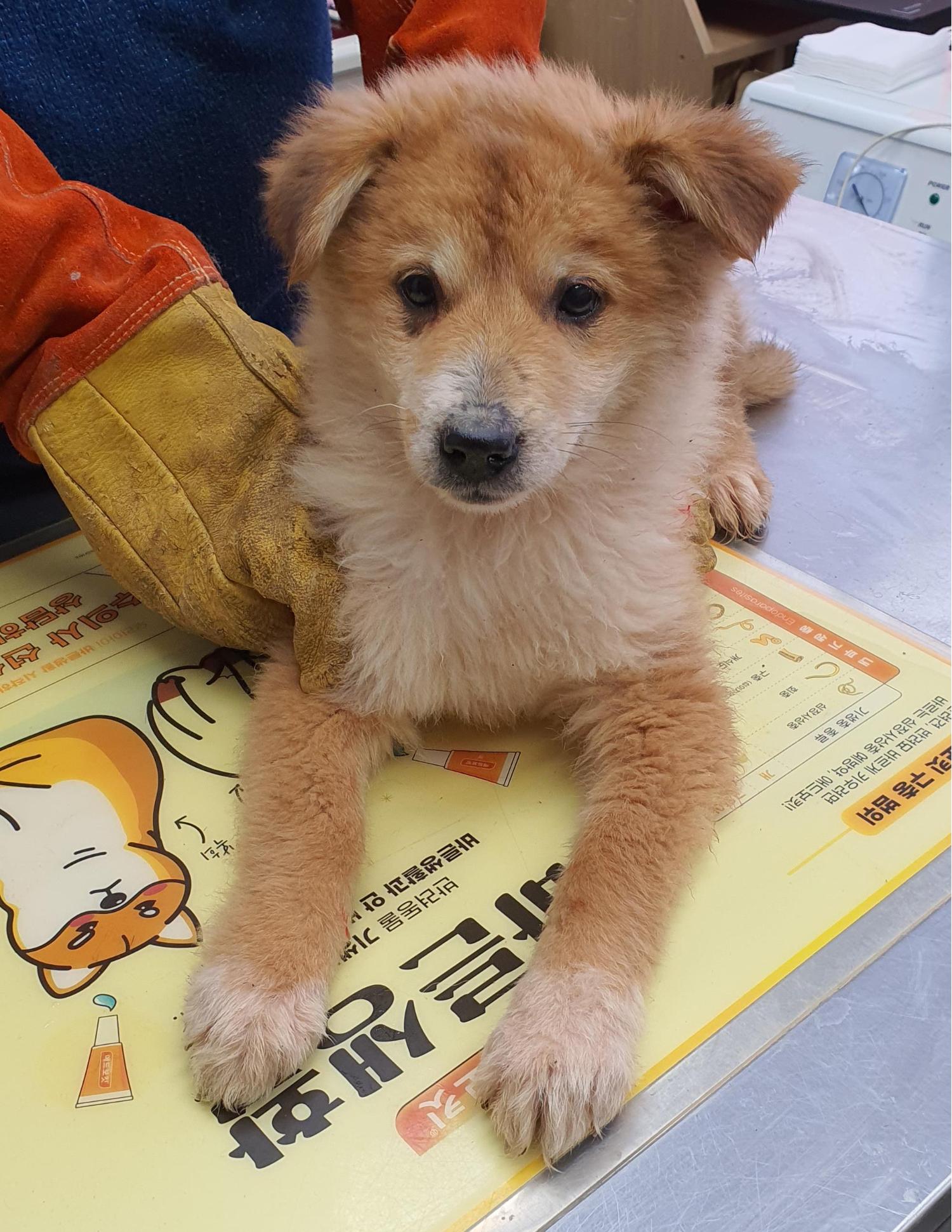 베스트동물병원_428357202400009
