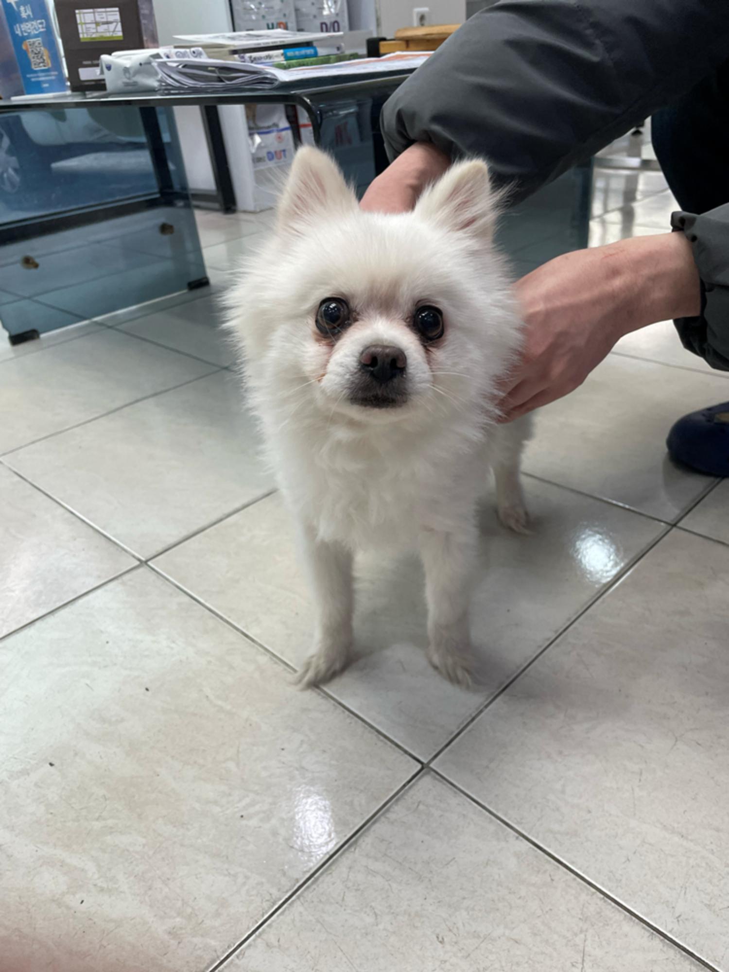 허동물병원_427346202400027