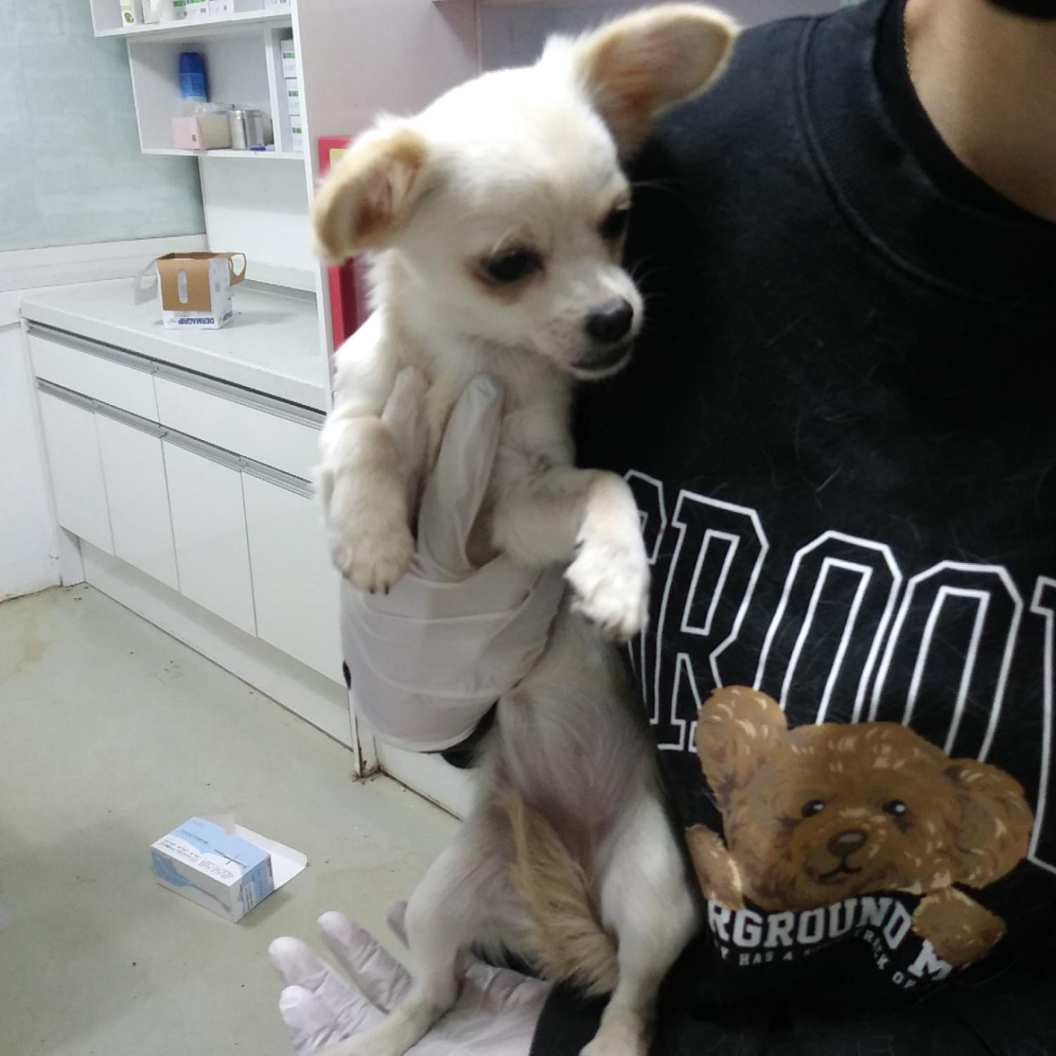 종료(자연사) 믹스…