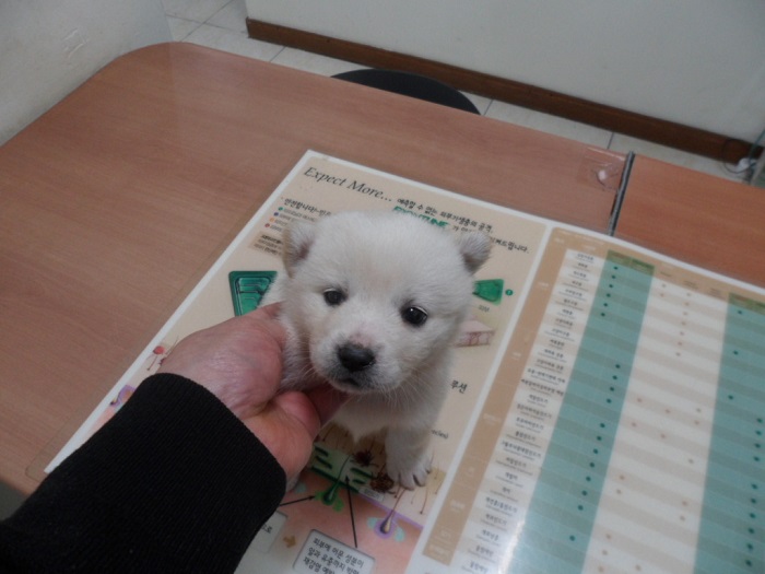 강현림동물병원_411320202400018