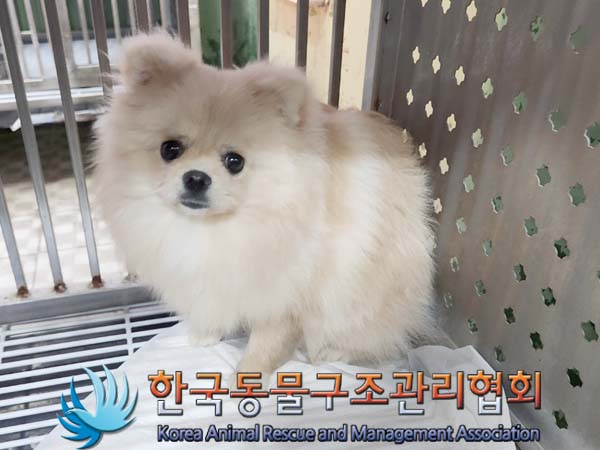 한국동물구조관리협회_411305202400003