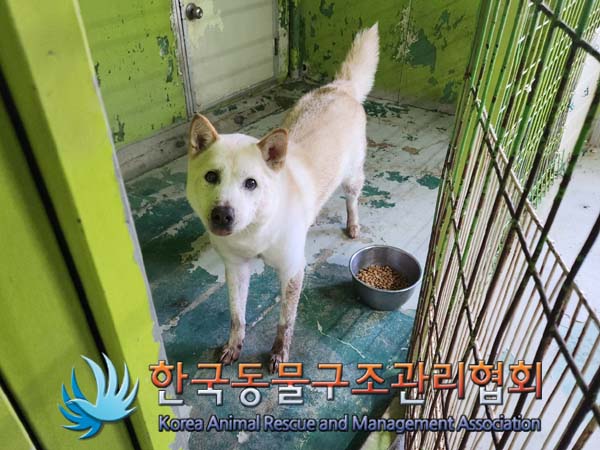 한국동물구조관리협회_411300202400006