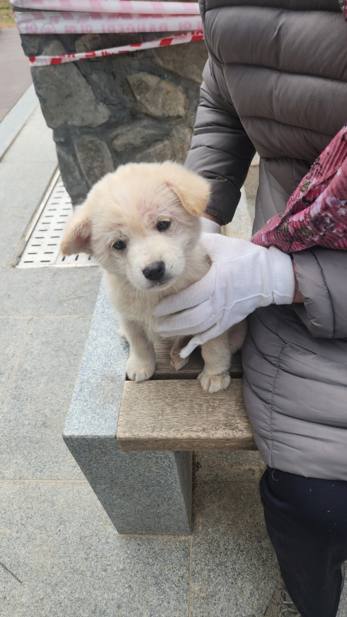 익산유기동물보호소_445468202400127