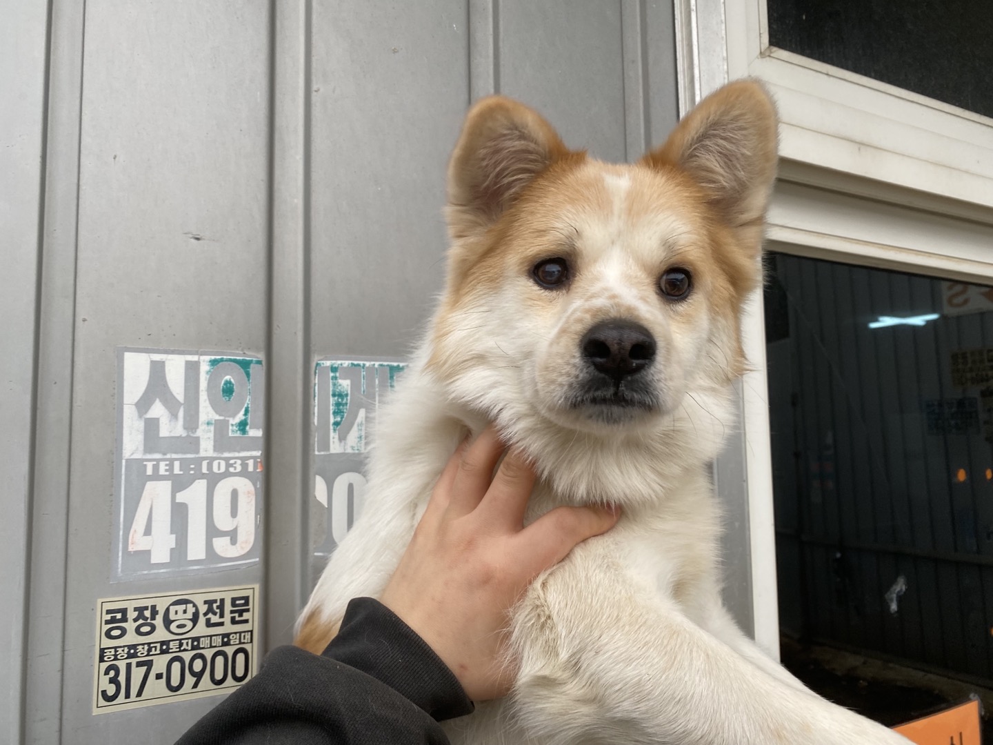 한국야생동물보호협회_441383202400009