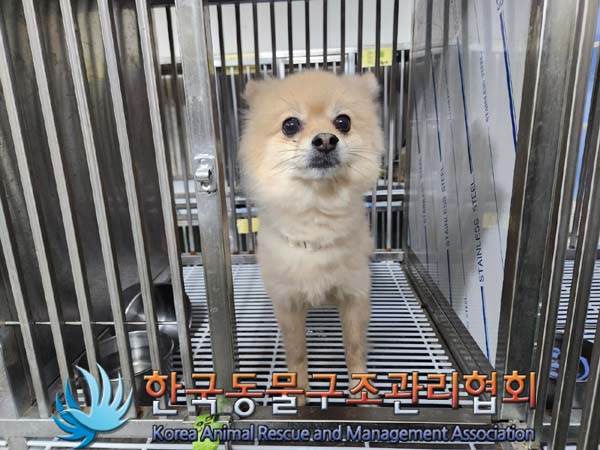 한국동물구조관리협회_411315202400013