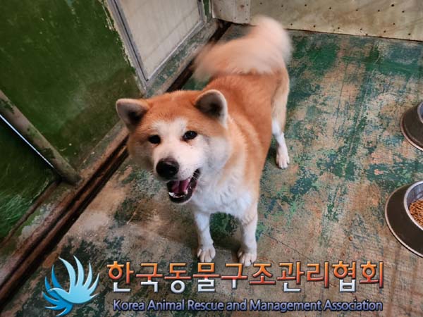 한국동물구조관리협회_411303202400005