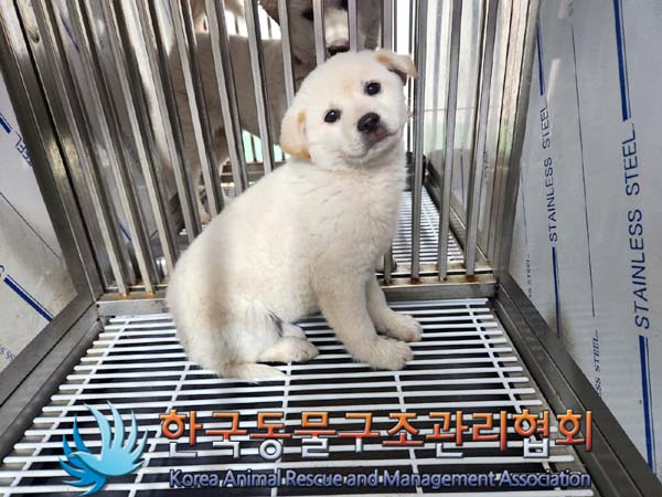 한국동물구조관리협회_441414202400029
