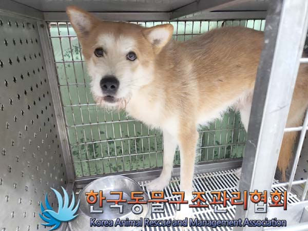 한국동물구조관리협회_441409202400052