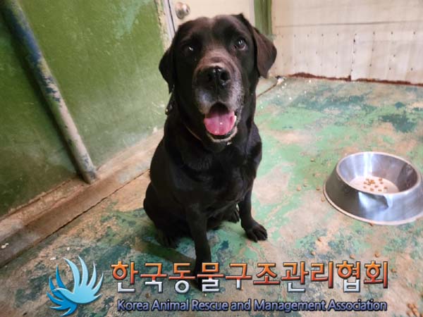 한국동물구조관리협회_441406202400093