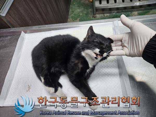종료(자연사) 한국…