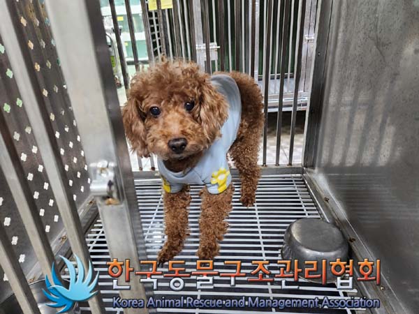 한국동물구조관리협회_411317202400003