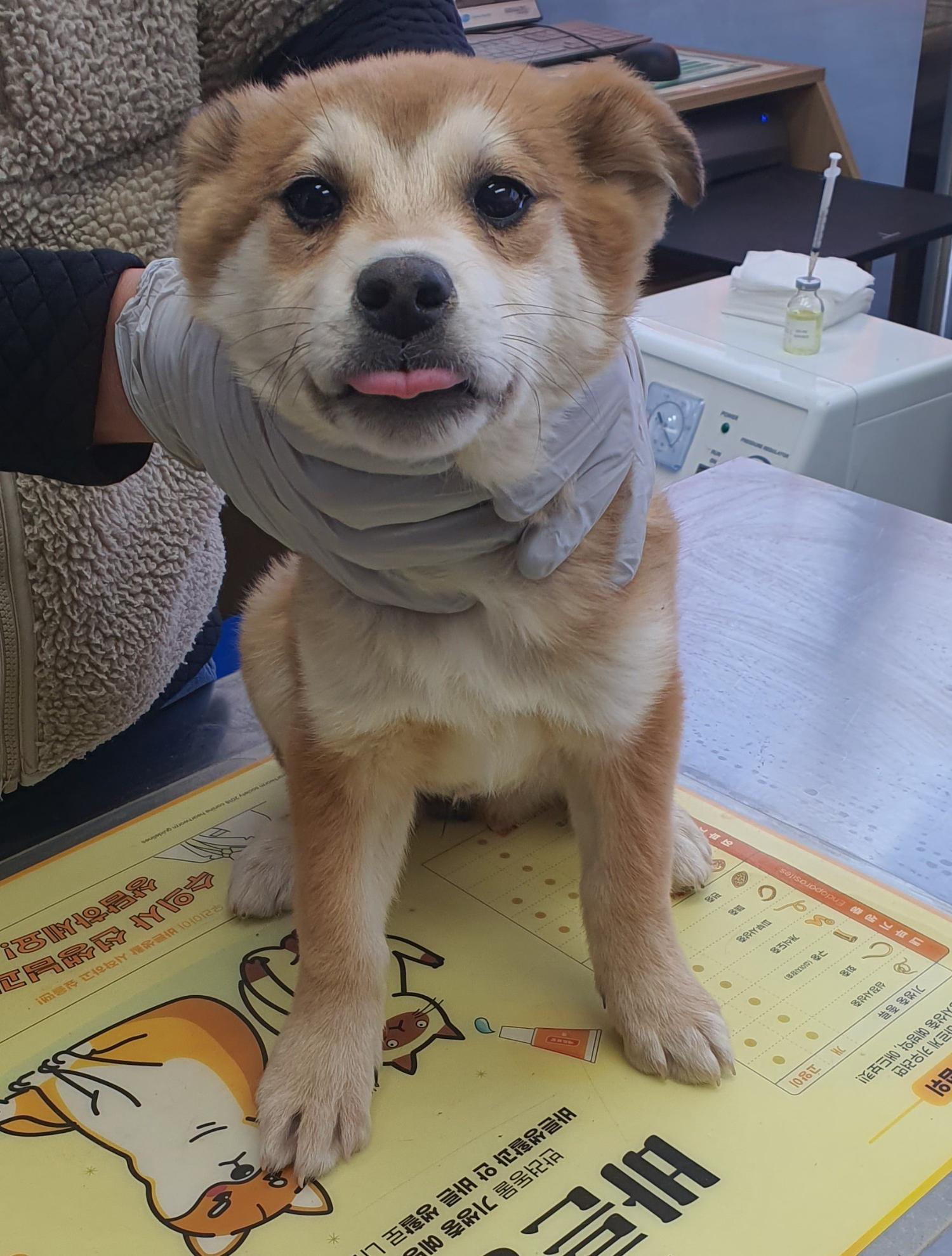 베스트동물병원_428357202400041