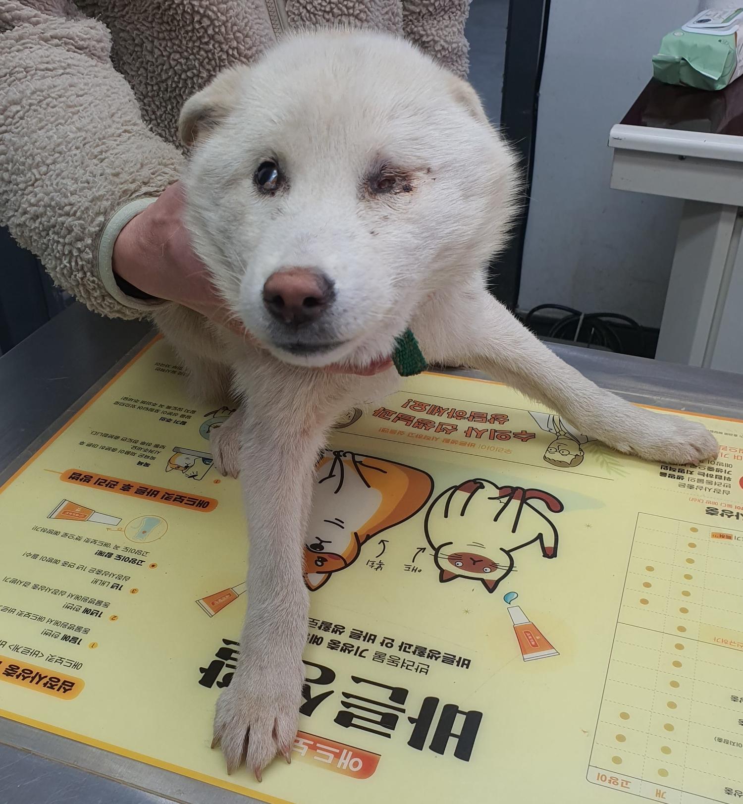 베스트동물병원_428357202400054