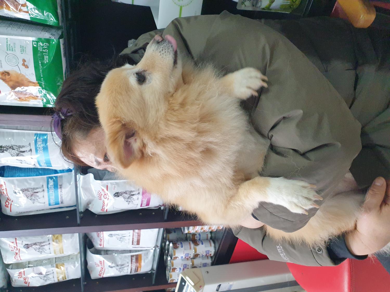 종료(반환) 포메라…
