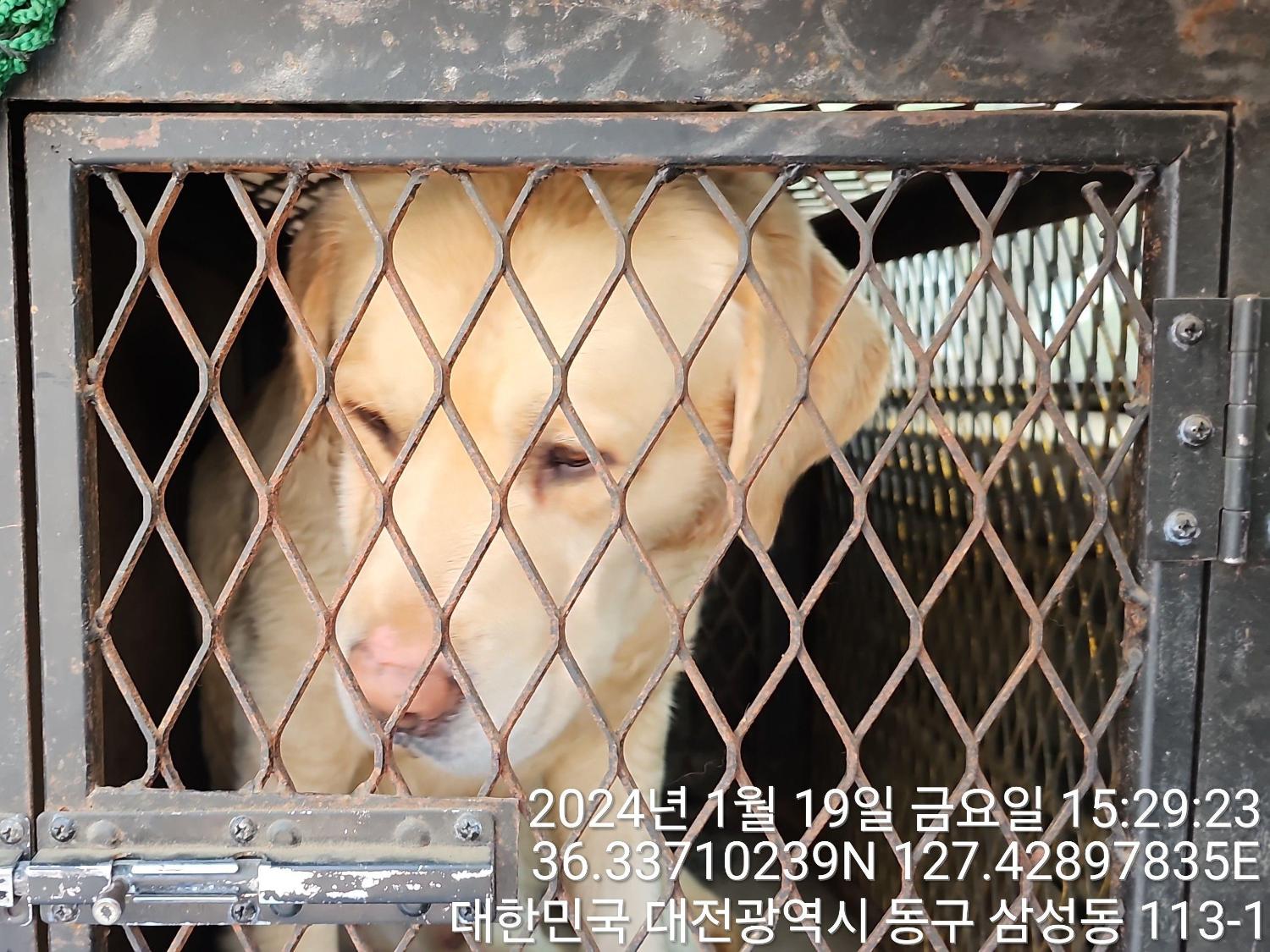 대전동물보호센터_430364202400016