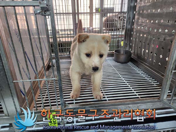 한국동물구조관리협회_441560202400042
