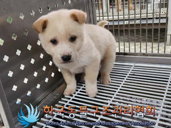 한국동물구조관리협회_441560202400048