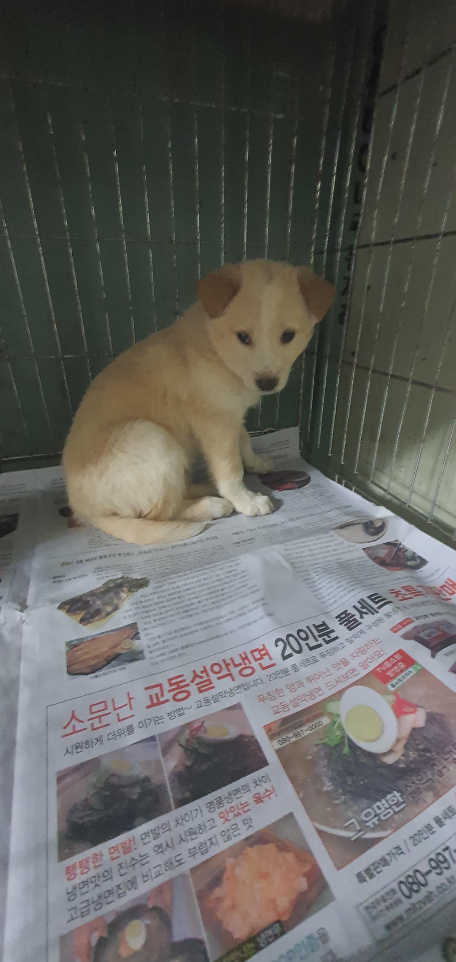 김천시 동물보호센터_447506202400023