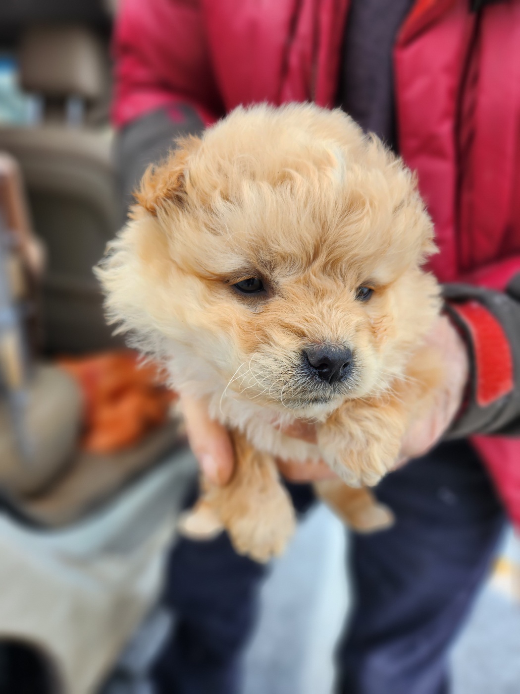 예산동물보호센터_444461202400040