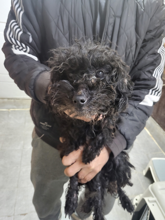 이성준동물병원_441408202400037